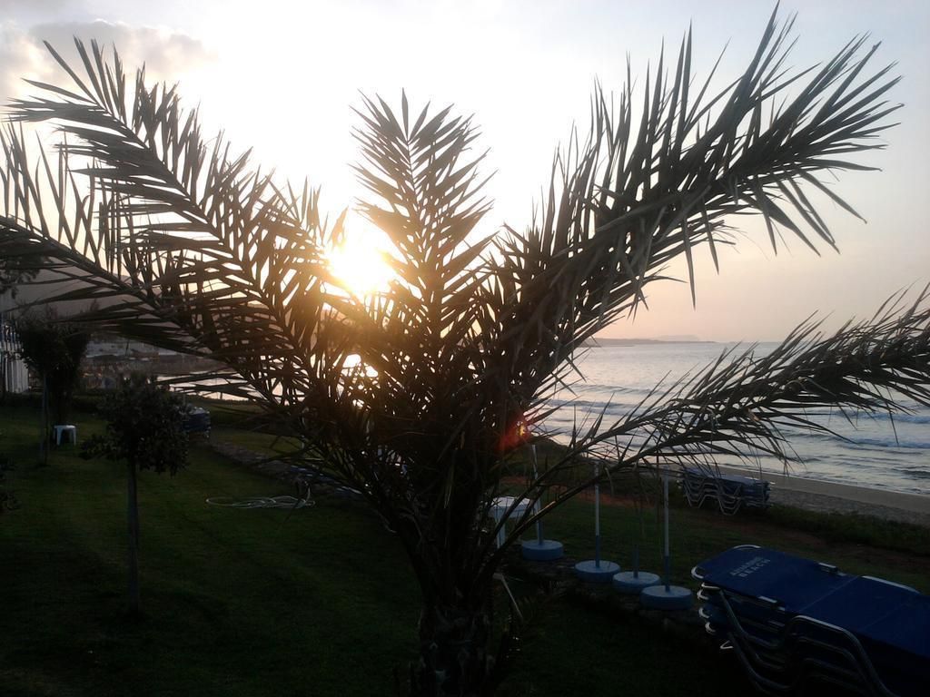Ariadne Beach Hotel, foto 10