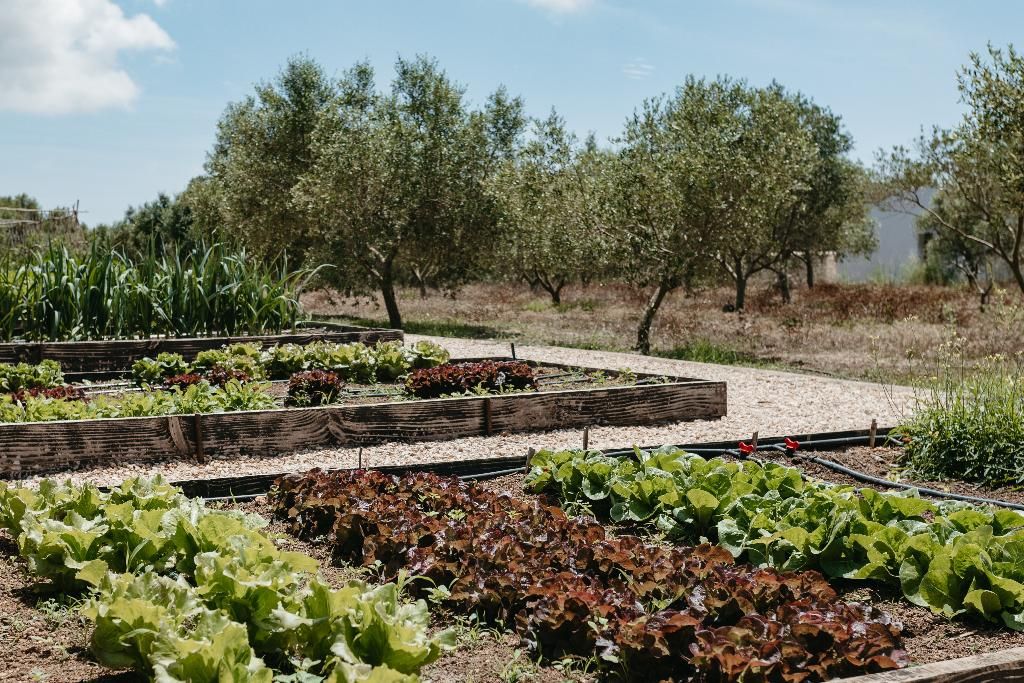MALBUGER NOU Agroturismo, foto 3