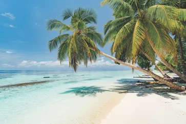 Vous partez en vacances aux Maldives ? Réservez votre hôtel aux Maldives avec Neckermann. Prix serrés, meilleure qualité.