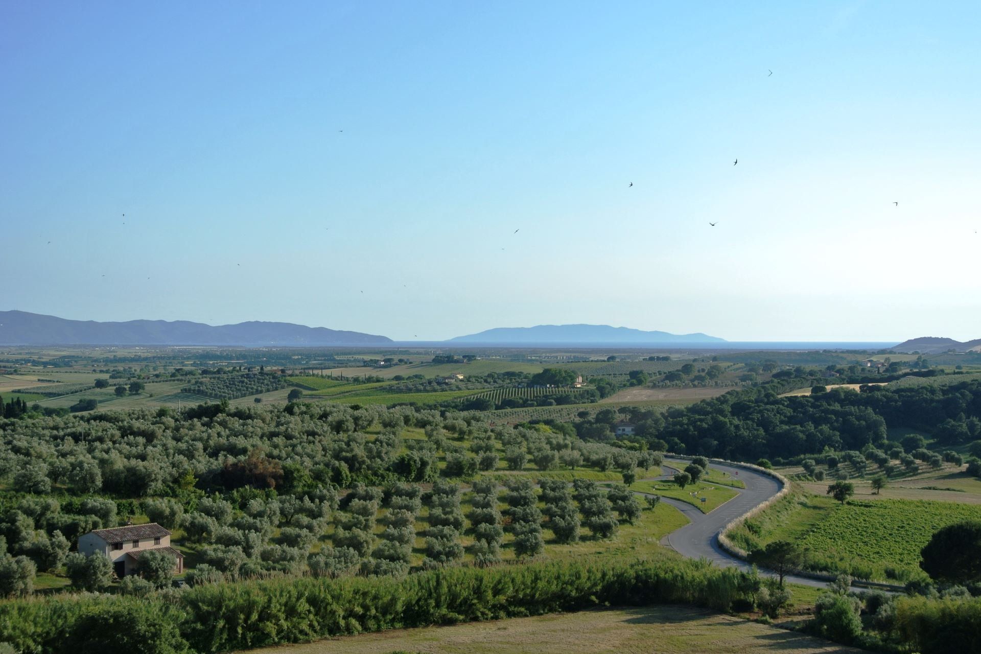 Nonno Tobia, foto 12