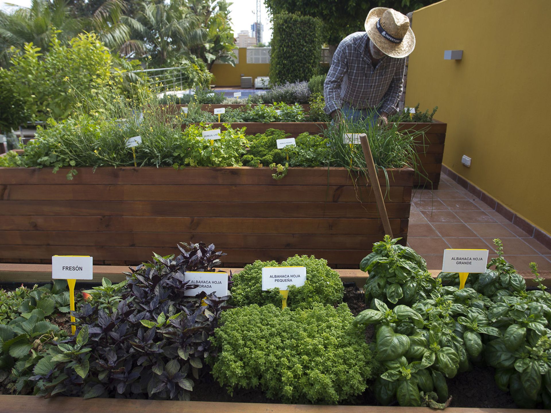 The Cook Book Gastro Boutique Hotel & SPA, foto 10