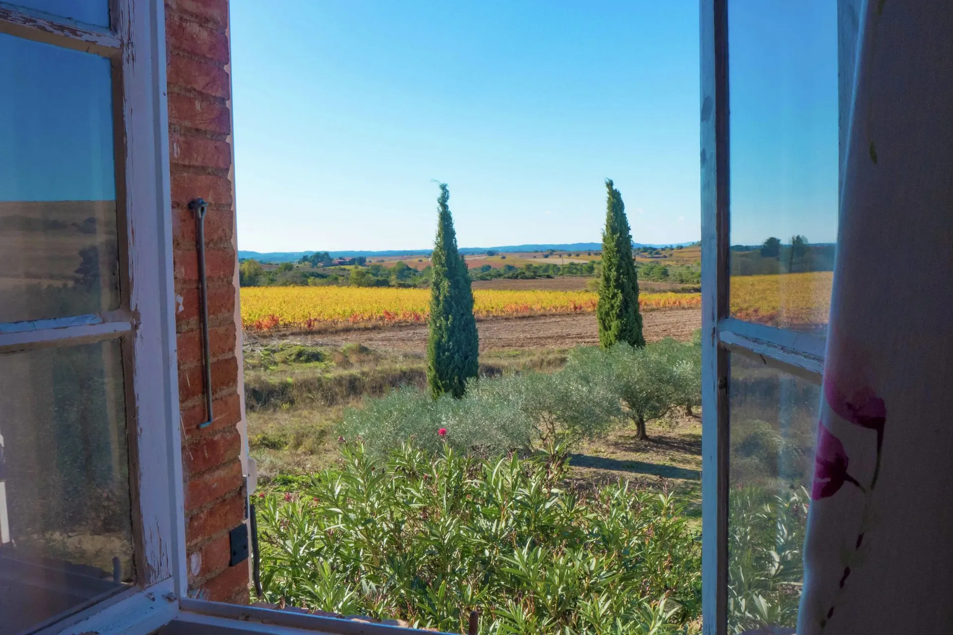 Vue de la maison de vacances (été)