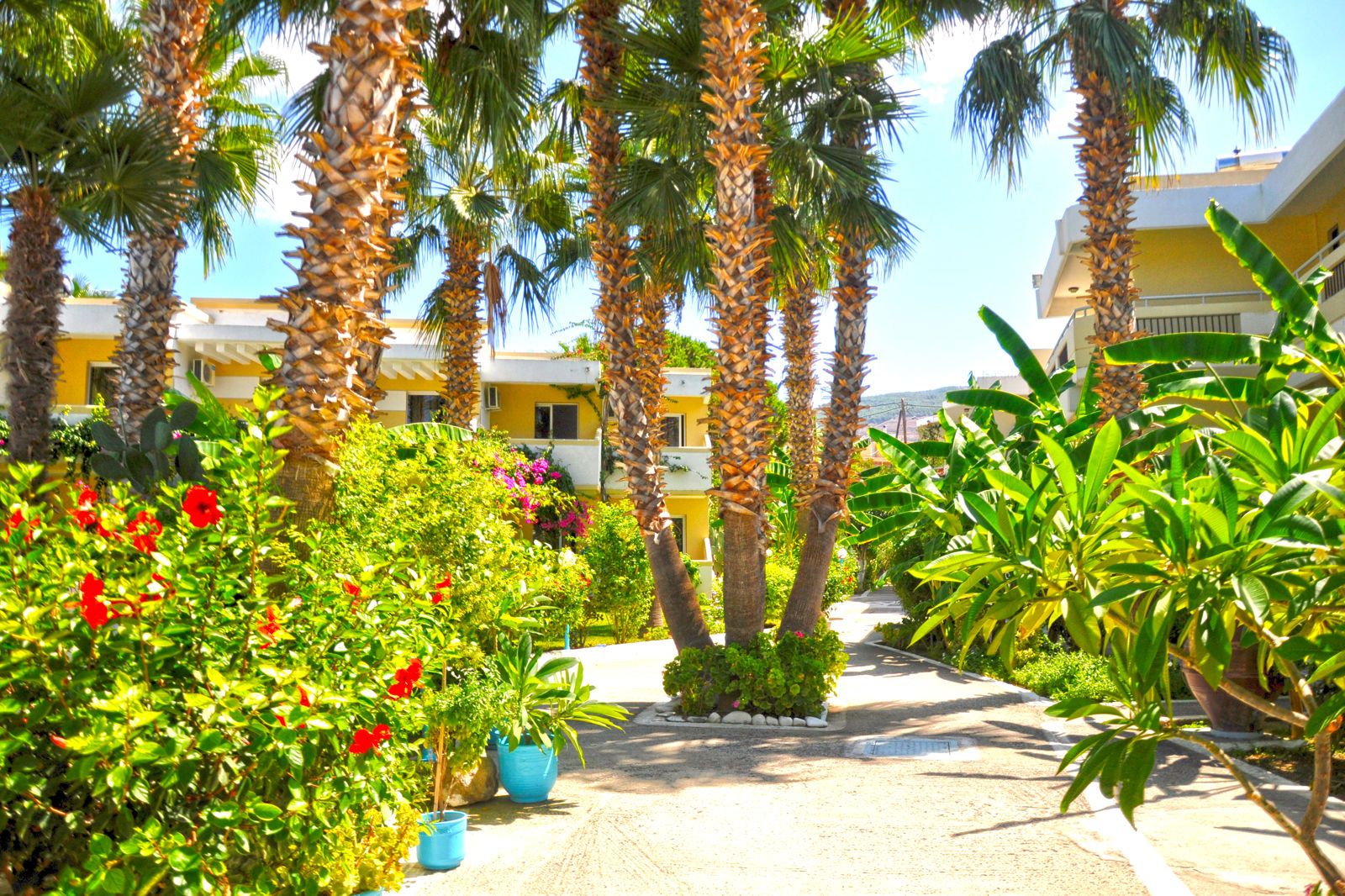Denise Hotel, foto 15