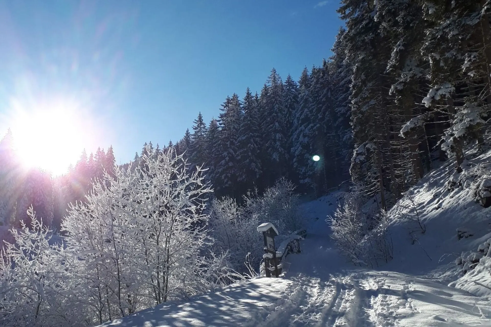 Dans les environs (hiver) (1-5 km)