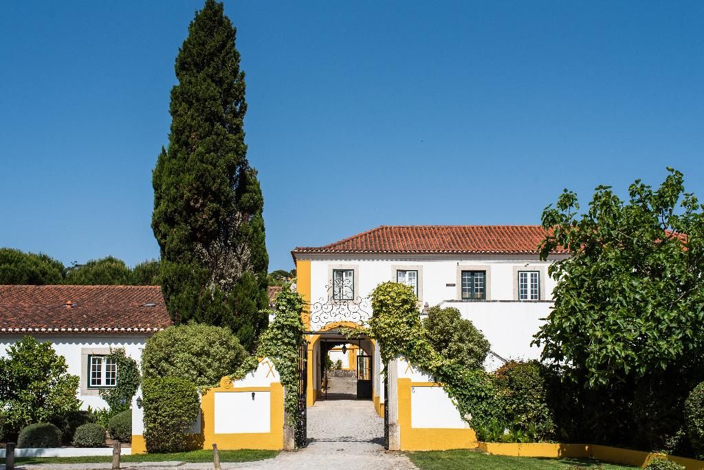 Doma Portugal, foto 15