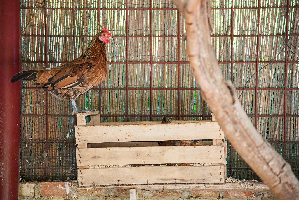 Azienda Agrituristica Bergi, foto 13