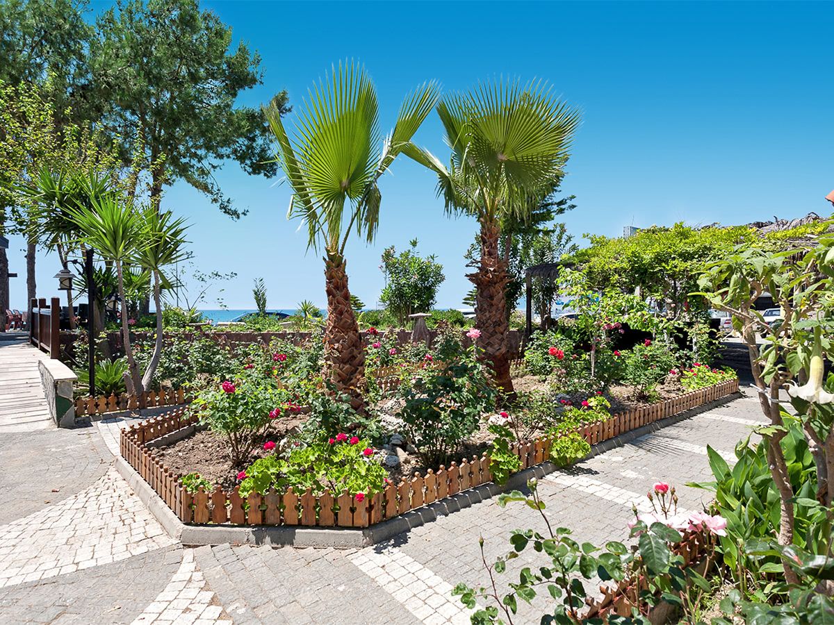 Nova Beach Hotel, foto 8