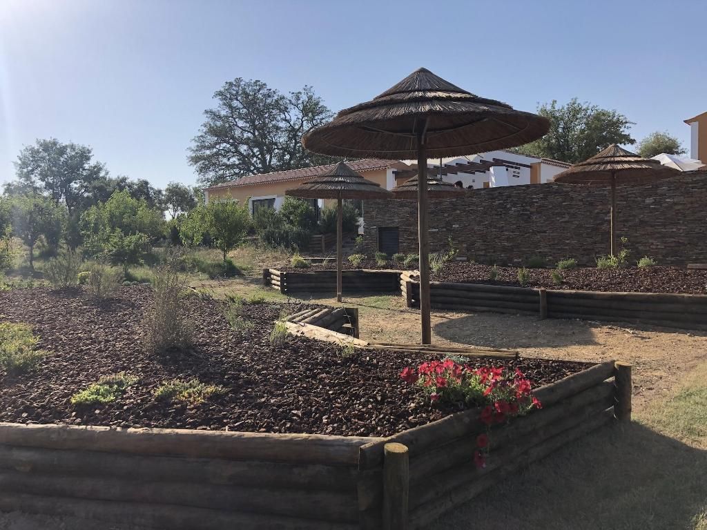 Tons Da Terra, foto 10