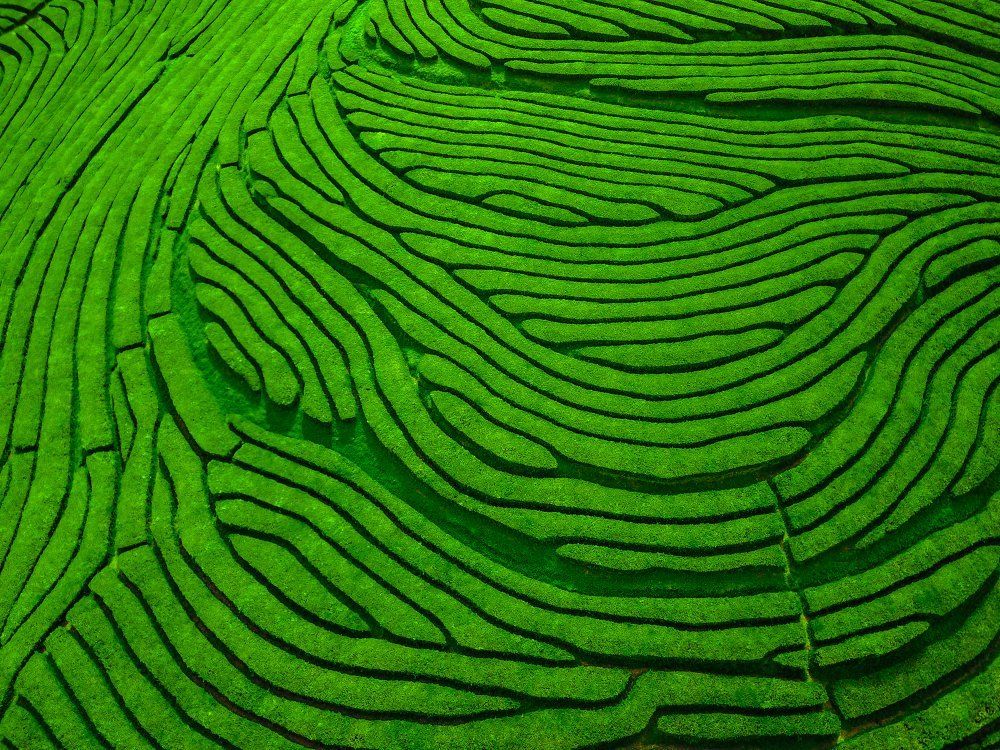 Ontdek Sao Miguel & Flores per huurauto, foto 12