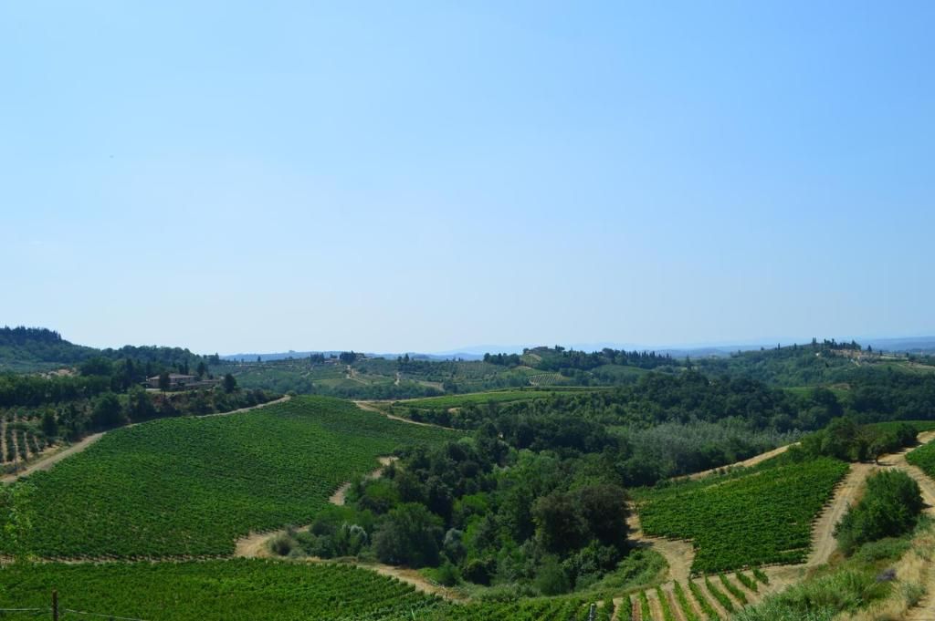 Fattoria il Bacio, foto 3