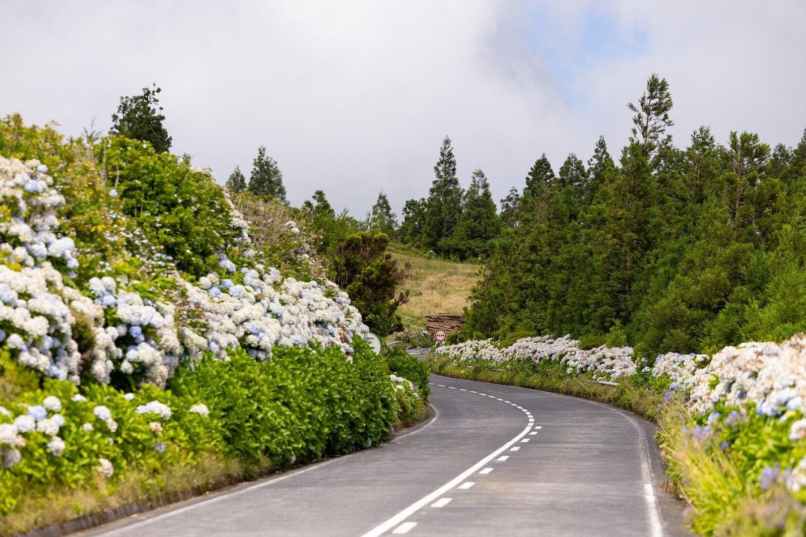 Great Azorean Circuit per huurauto, foto 8