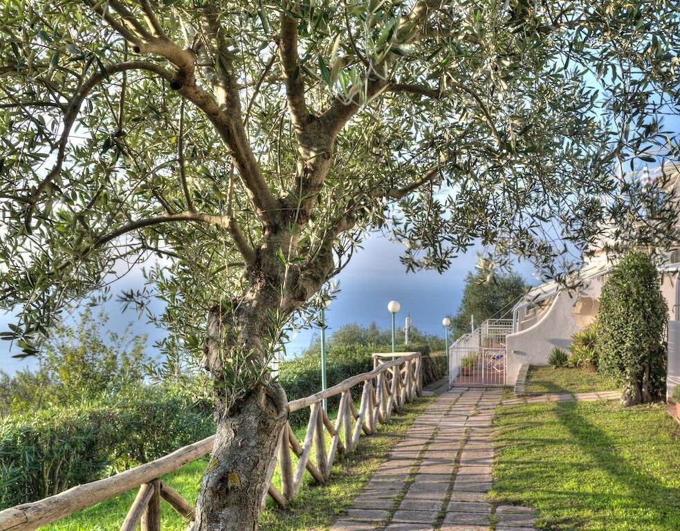 Gocce Di Capri Hotel & Serviced Residence, foto 4