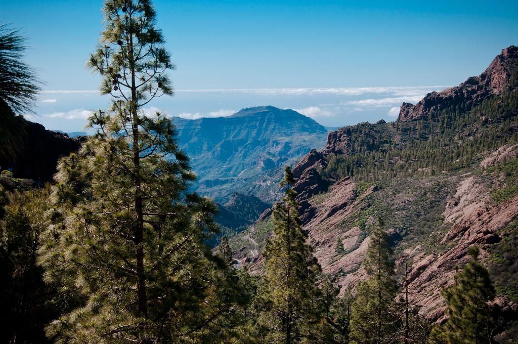 El Refugio, foto 10