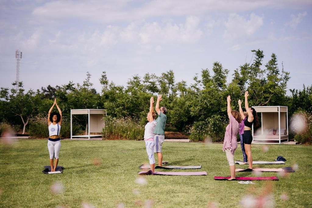 Quinta dos Perfumes, foto 12