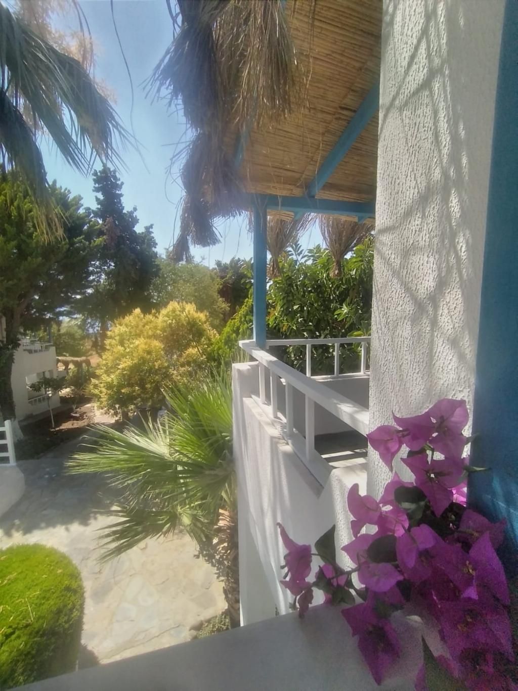 Misket Otel Bodrum, foto 4