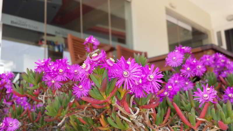 Bright Star Apartments, foto 8