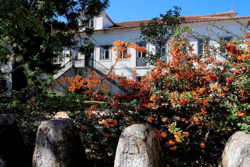 Casa De Mogofores, foto 2