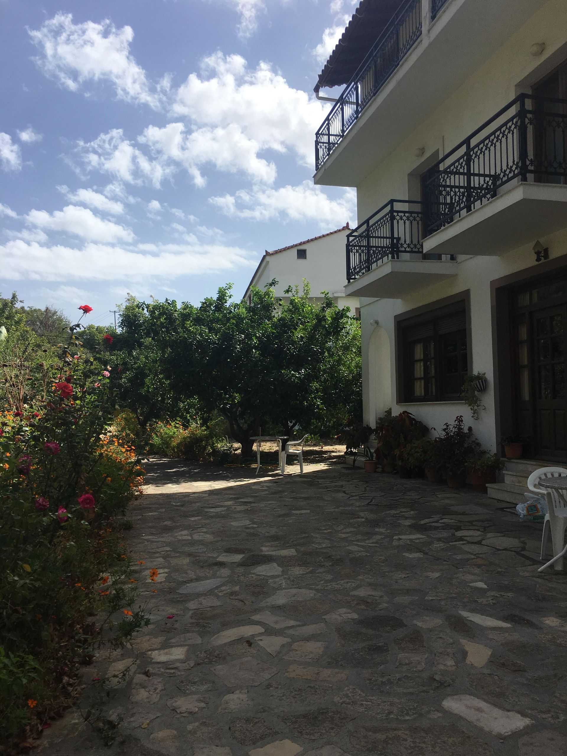 Alekos Rooms and Apartments, foto 7