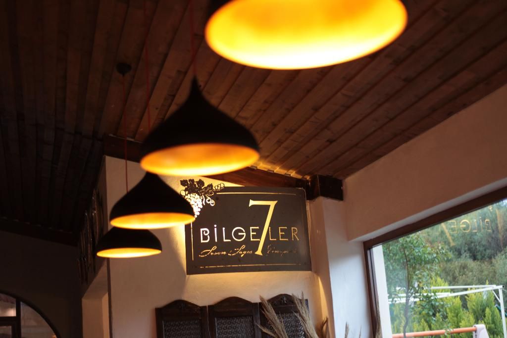 Vinifera Vineyards Hotel, foto 13