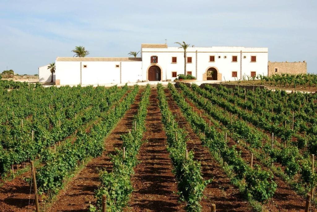 Baglio Donna Franca Wine Resort & Farm Estate, foto 4