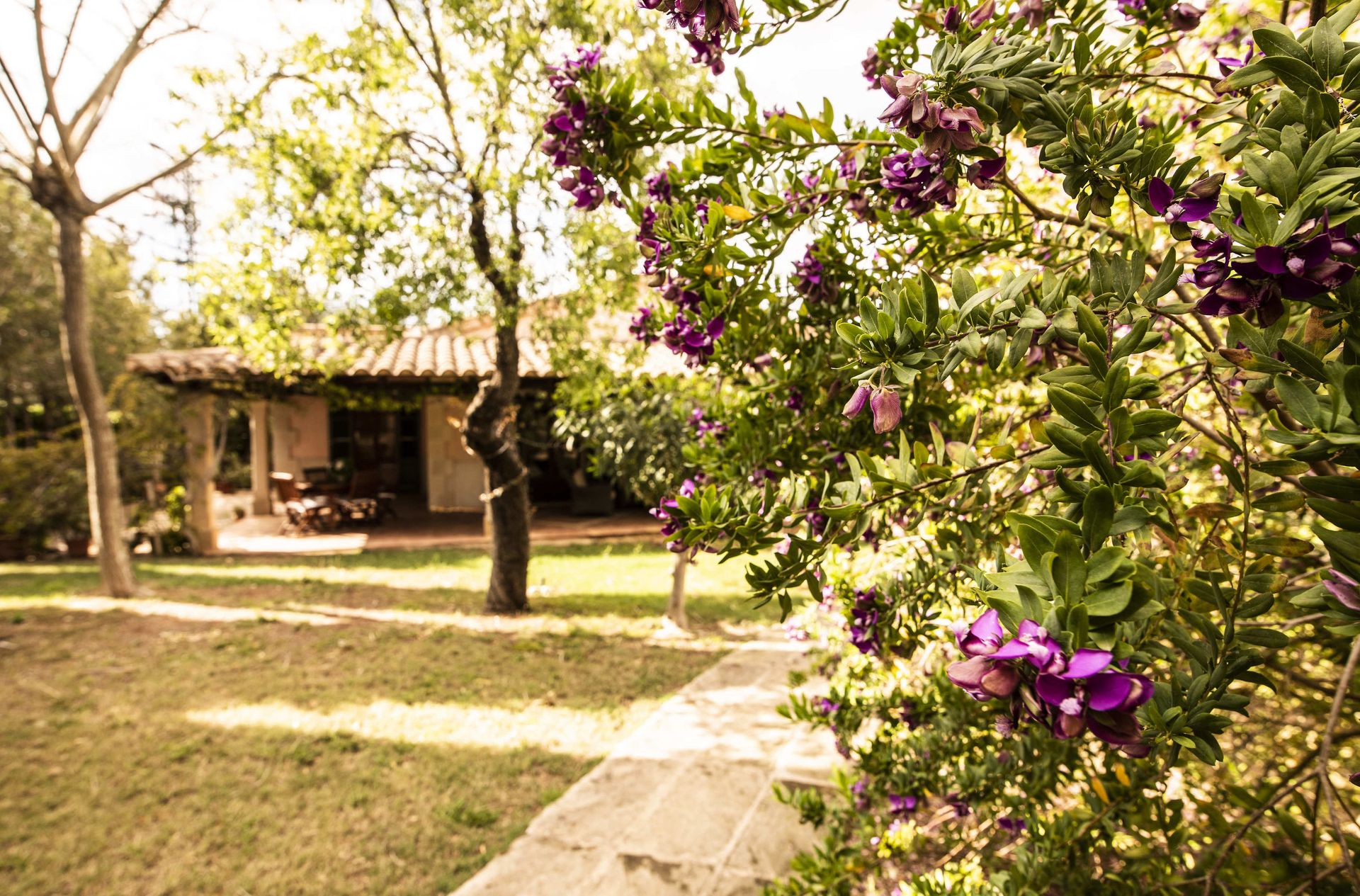 Aumallia Hotel & Spa, foto 5