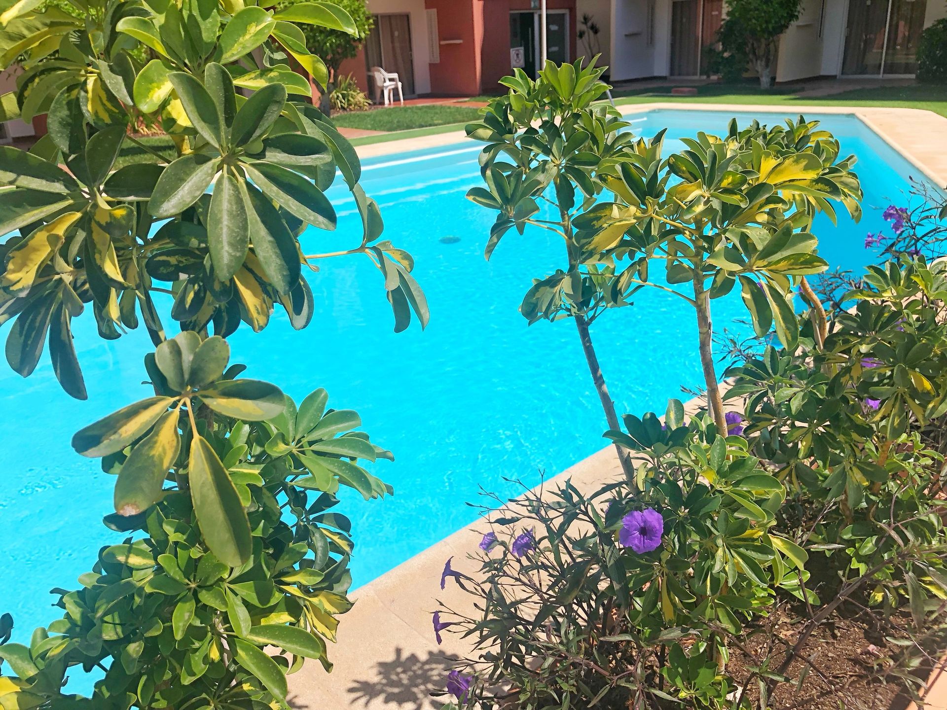 Apartamentos Don Gregorio, foto 6