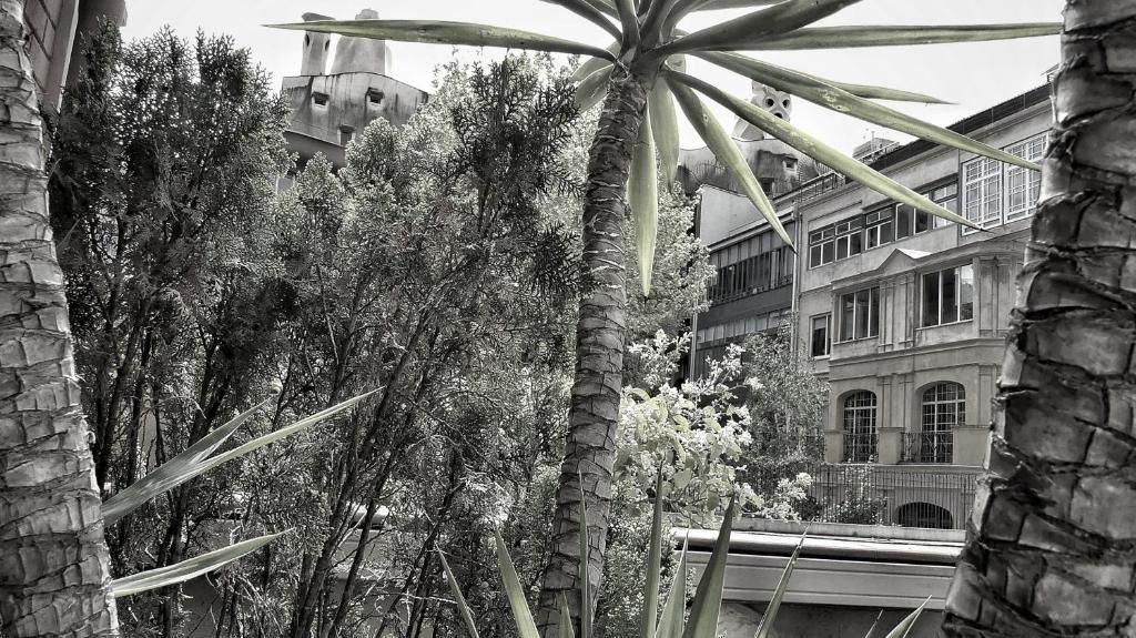 Limonaia Hotel, foto 6