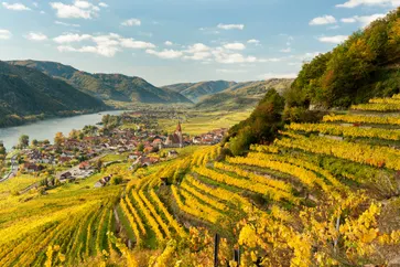 Wachau