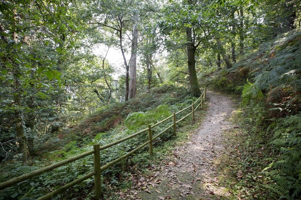 Parador de Limpias, foto 7