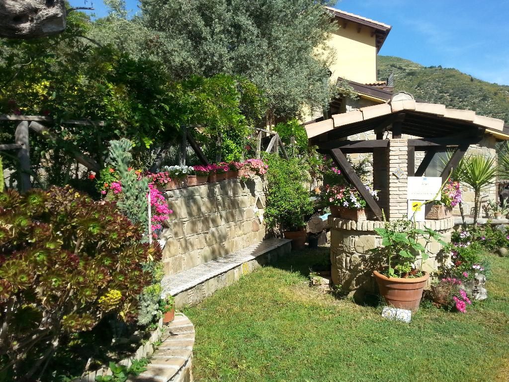 L'uliveto, foto 9