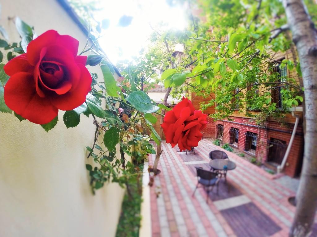 Ottoman's Pearl Hotel, foto 10