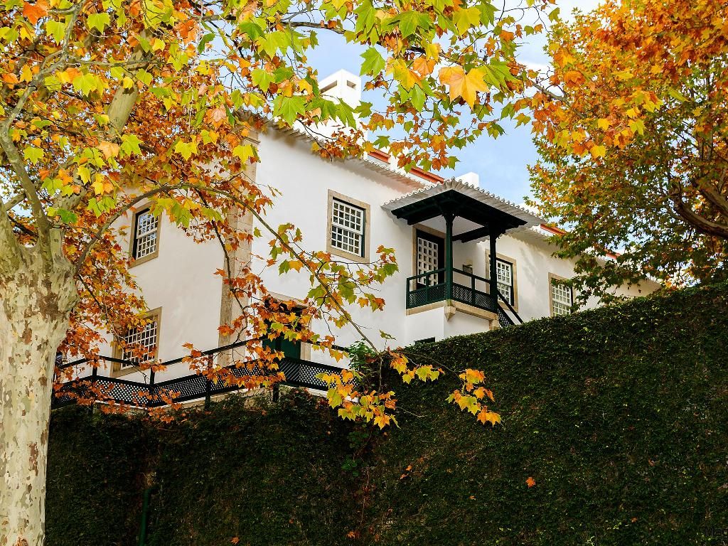 Quinta da Pacheca, foto 15