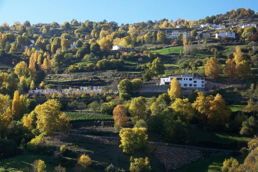 Turismo Rural & SPA El Cercado, foto 13