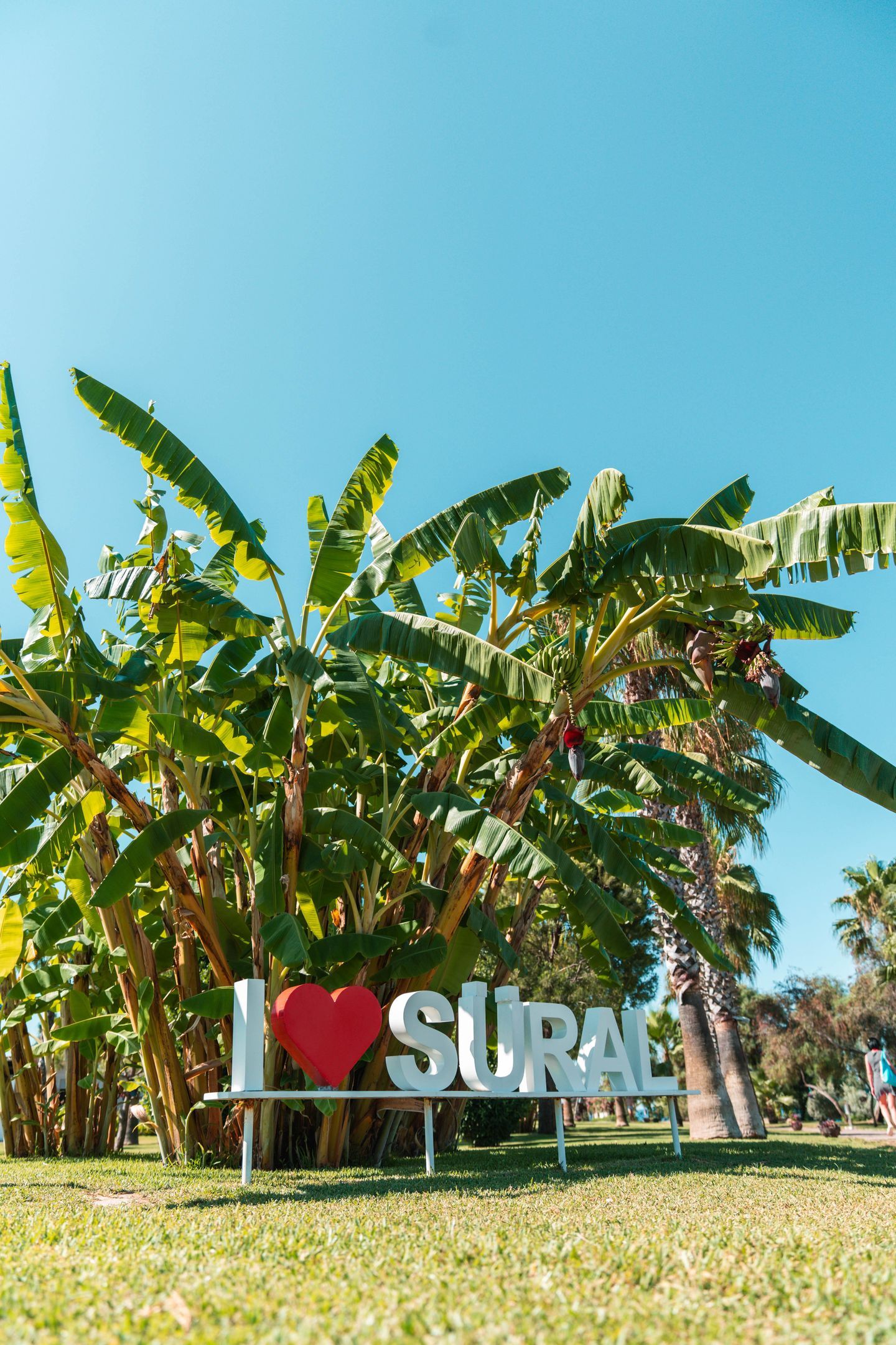Süral Resort, foto 6