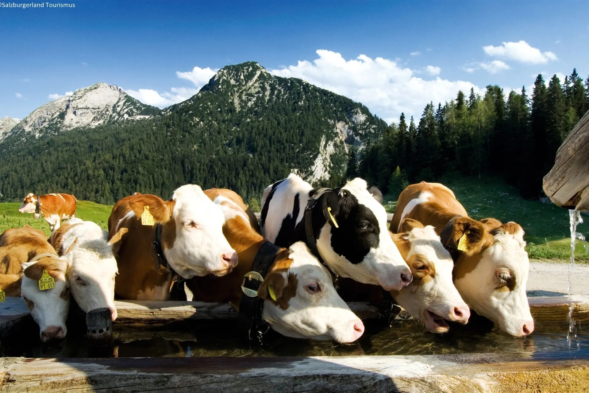 Omgeving (zomer) (1-5 km)