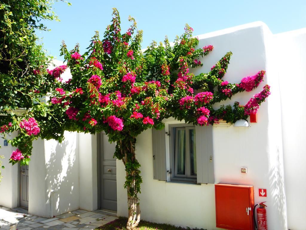 Paros Bay, foto 8
