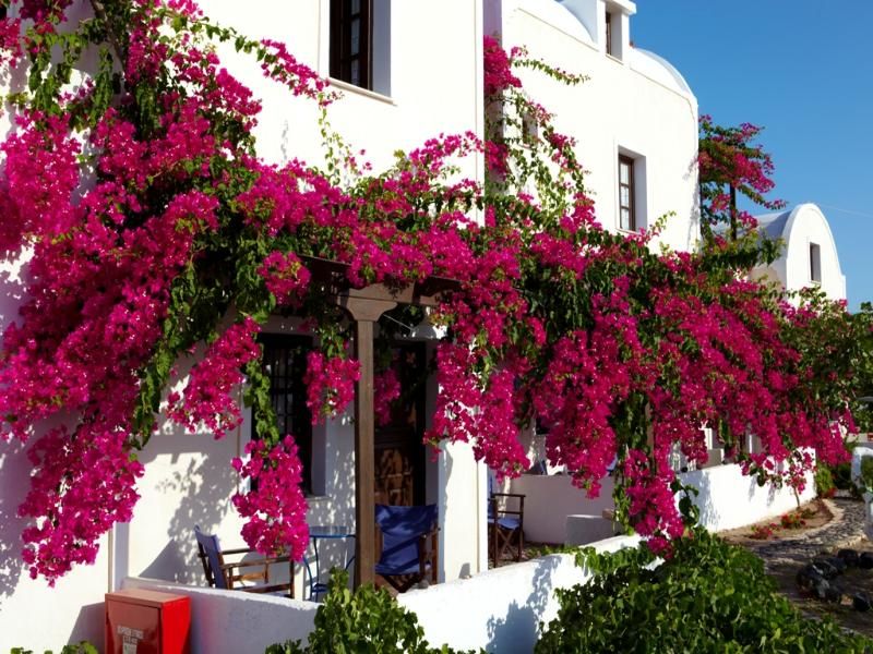 Anna Traditional Apartments, foto 7