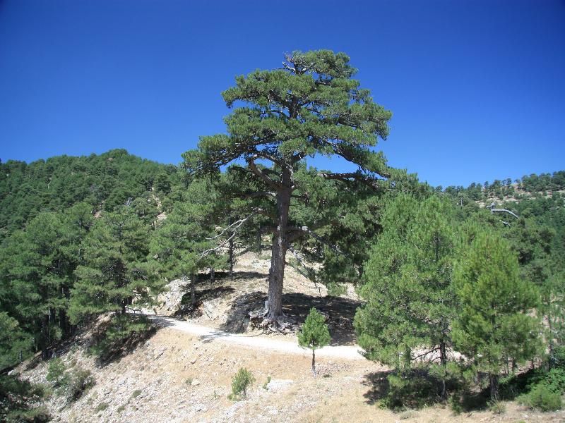 Apartamentos Rurales Campillo, foto 5
