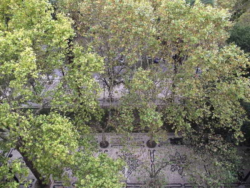 Dom Sancho I, foto 9