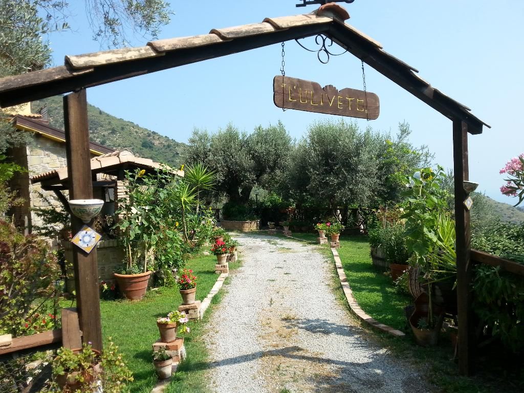 L'uliveto, foto 4