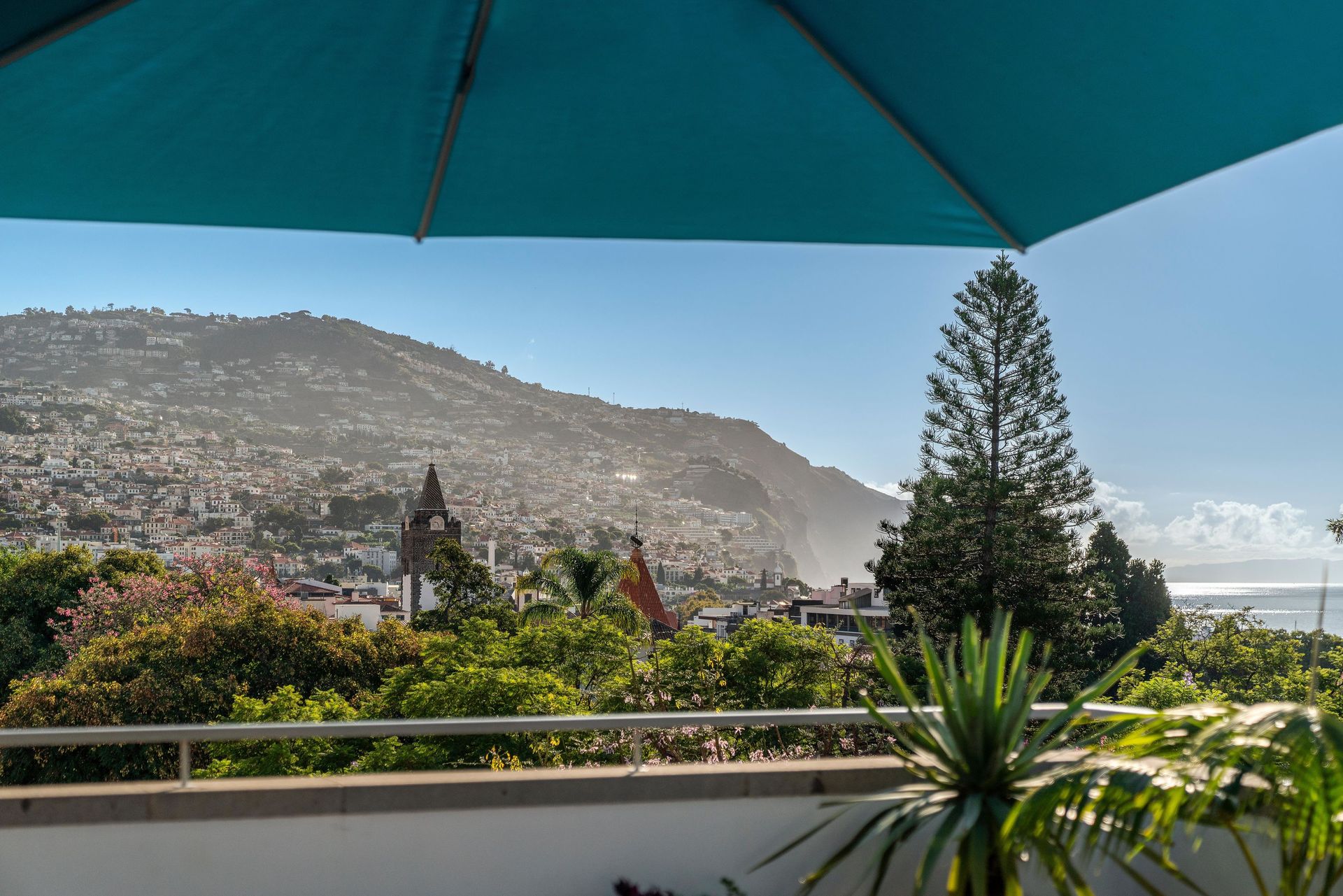 Hotel Madeira, foto 10