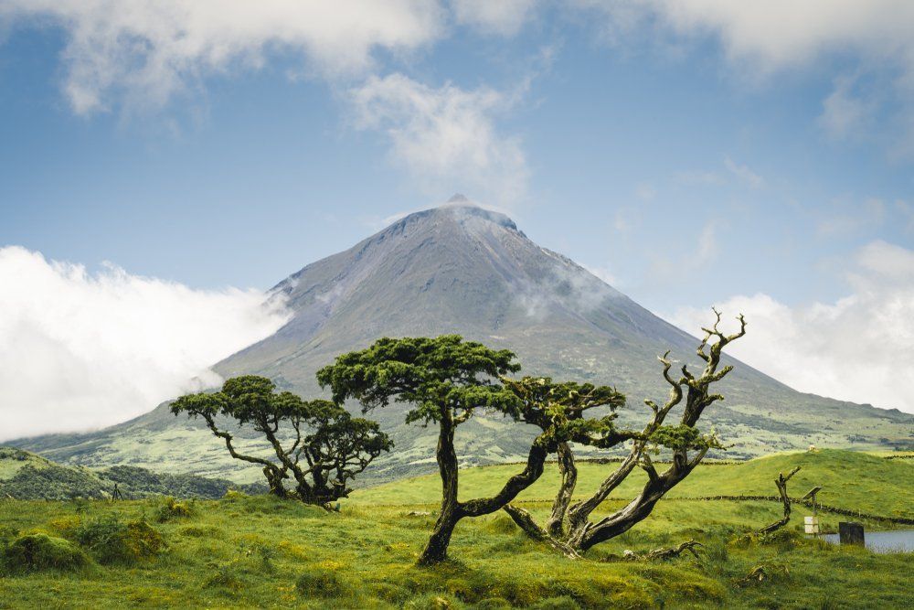 Azorean Classic per huurauto, foto 4
