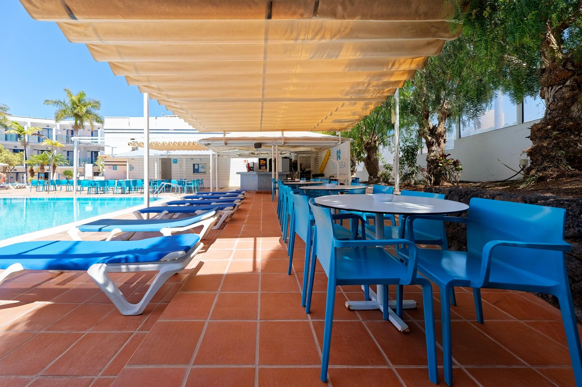 BLUESEA Jandia Luz, foto 6