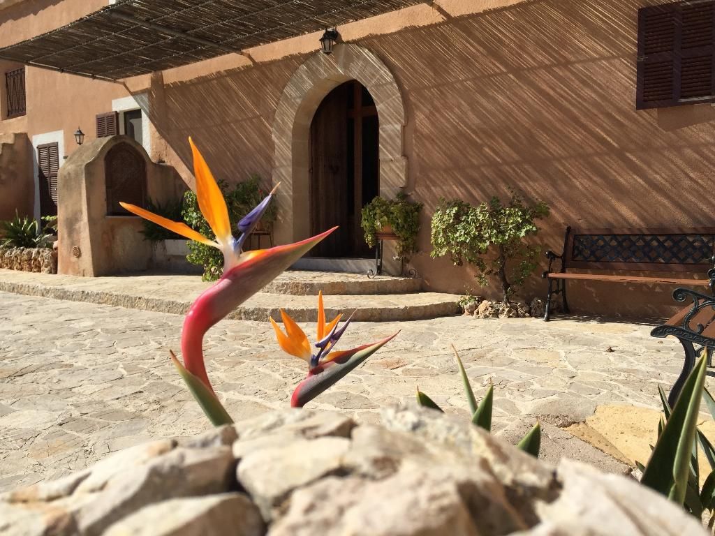 Agroturisme Es Picot, foto 12