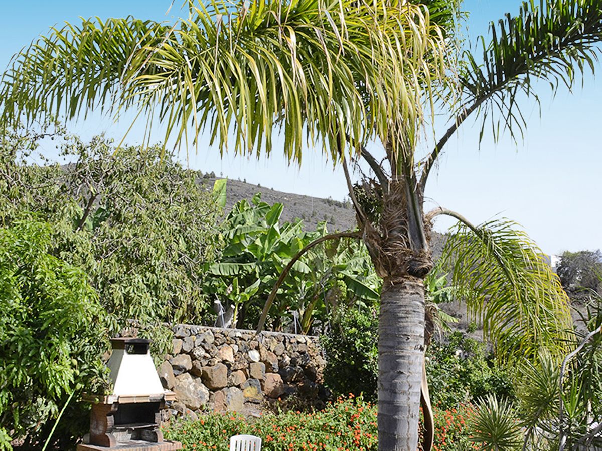 Las Casitas de Tijarafe, foto 7