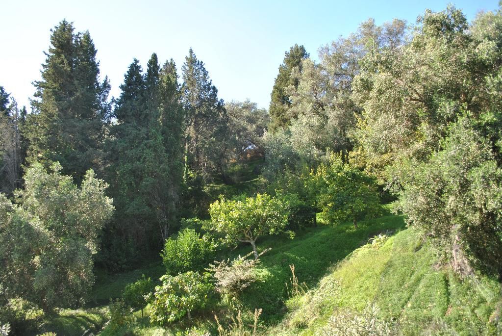 Helios Splendid, foto 15