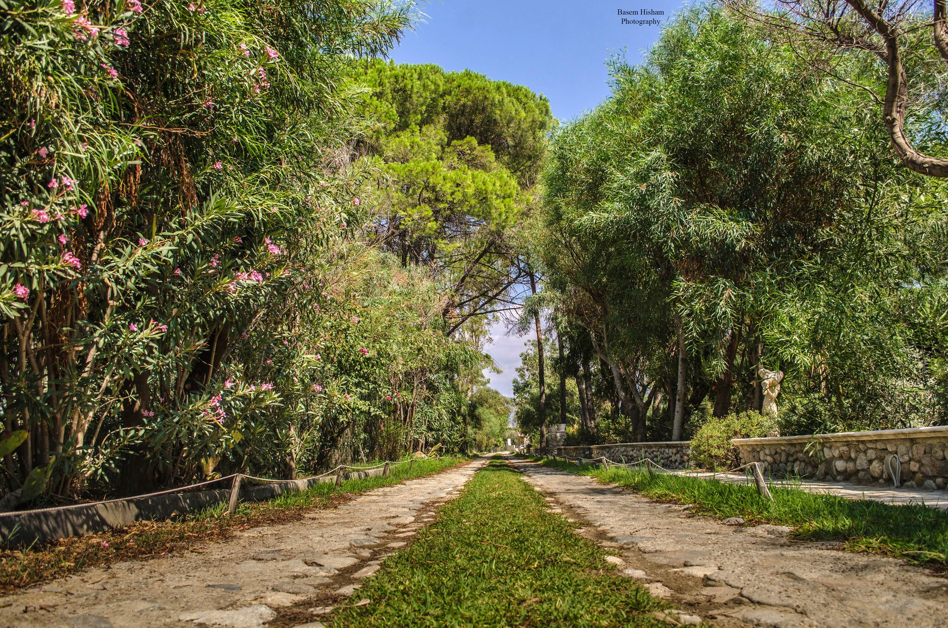 Villaggio Borgo Degli Ulivi, foto 6