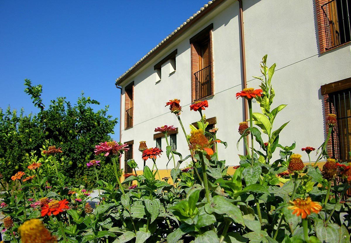 La Garapa, foto 7