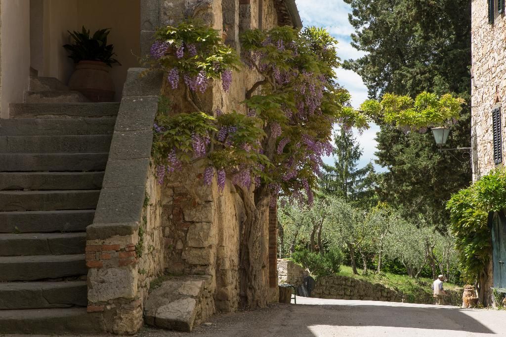 Castello Di Fonterutoli, foto 10