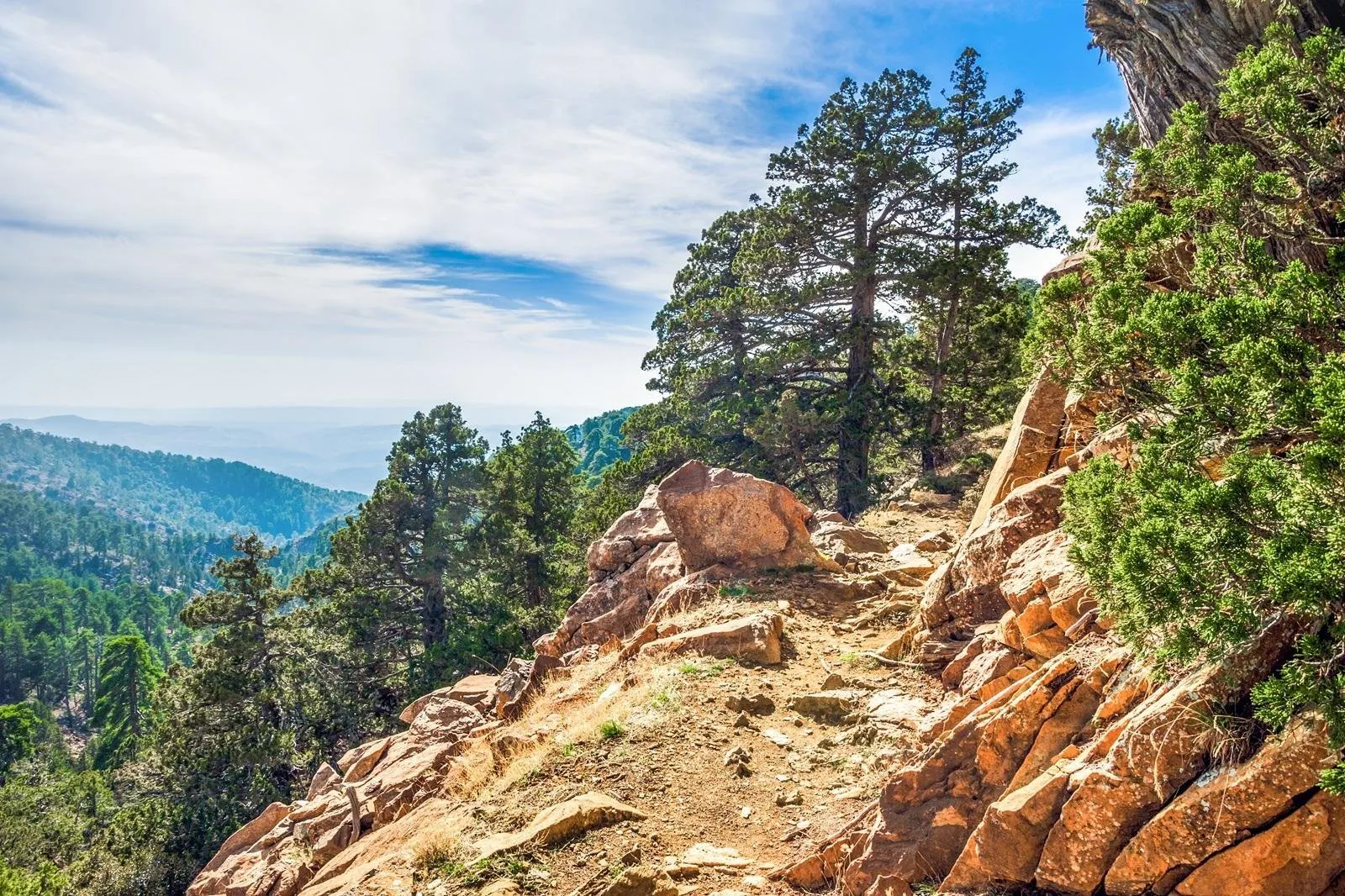 Fly-drive Couleur locale 8 dagen vanaf Paphos